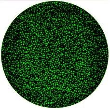 104130 MINIBOMBONELE VERDE INCHIS NONPAREILS VIPAM AMBALAT CUTIE 2 KG